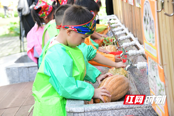清洗刚采摘的瓜果蔬菜.jpg