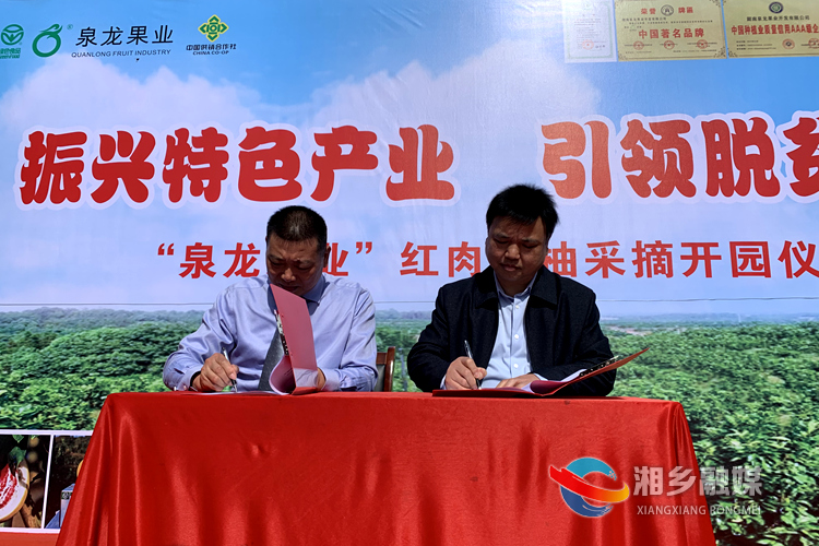 中国地质大学与泉龙果业签订红肉蜜柚采购协议。.jpg
