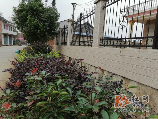 微信图片_20201027113415_meitu_3.jpg