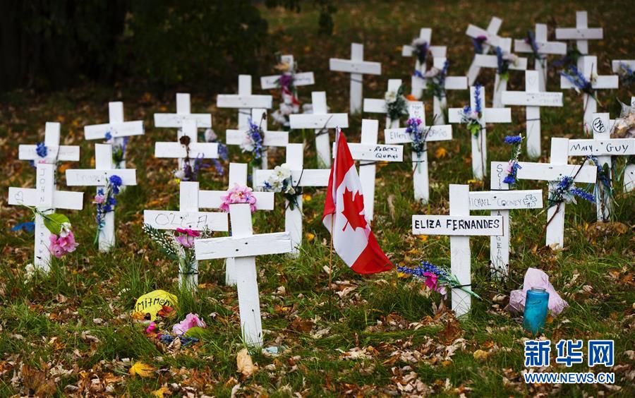 （国际）（4）加拿大累计新冠死亡病例数超过1万例