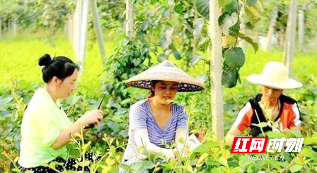 图片2.jpg 图片2.jpg