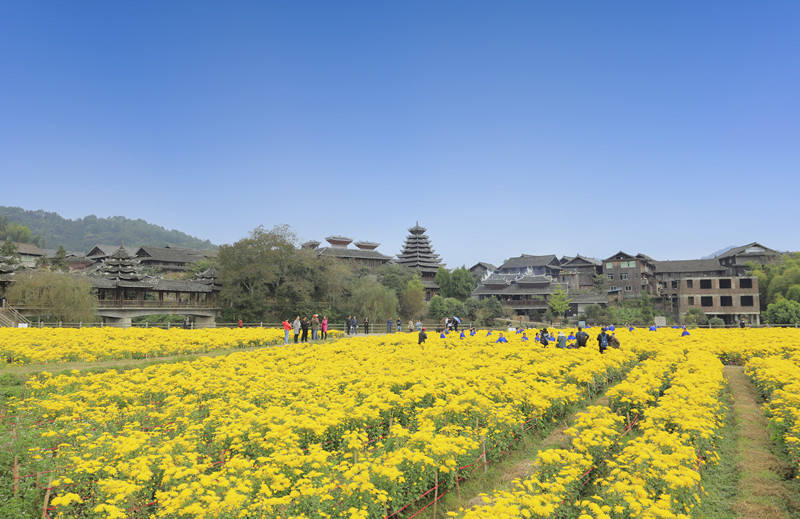 微信图片_202010290930123_副本_副本.jpg