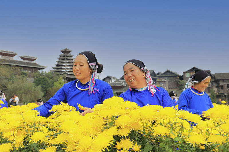 微信图片_202010290930122_副本_副本.jpg