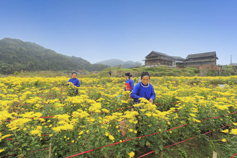 微信图片_202010290930111_副本_副本.jpg