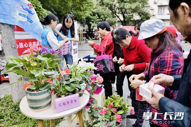 街坊投票海選“花魁”。 通訊員 李靖 攝