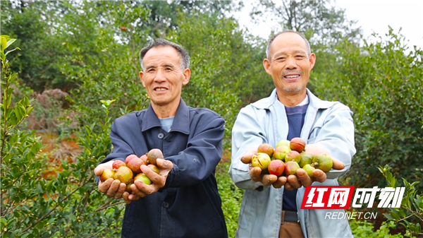 丰收喜悦.png