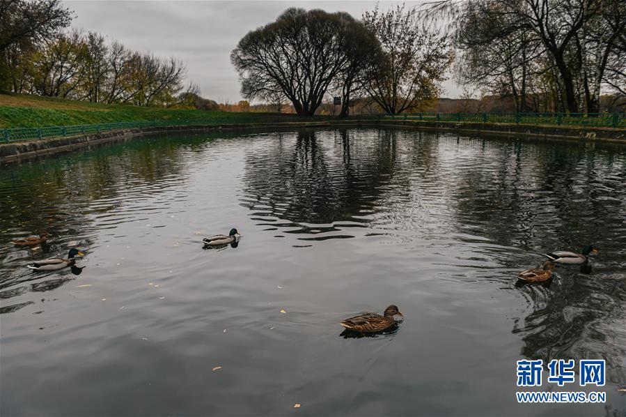 (国际)(3)科罗缅斯克庄园秋色