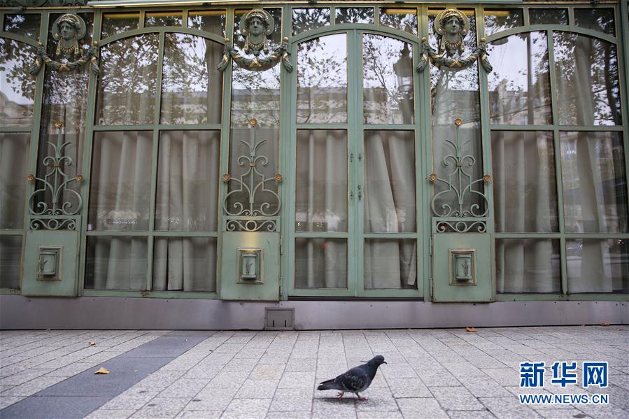 （国际疫情）（6）法国再度全国“封城”