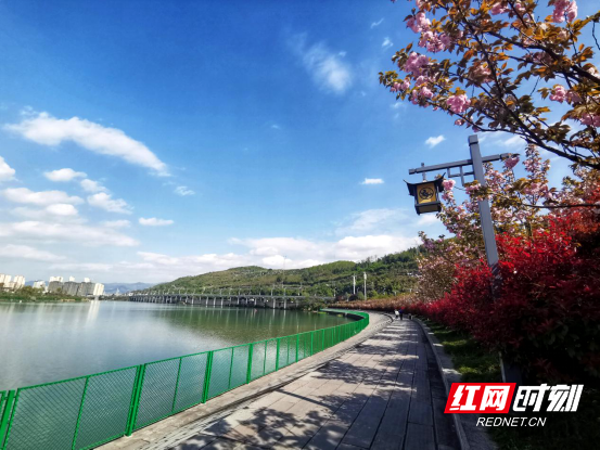 微信图片_20201101164108.png