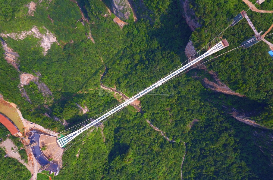 杨素琴5.jpg