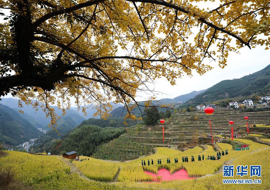 （社会）（2）美丽山村开启金秋画卷