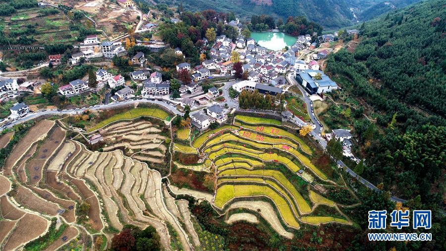 （社会）（6）美丽山村开启金秋画卷