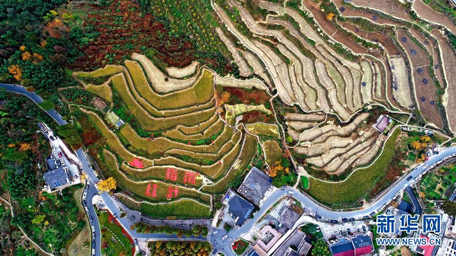 （社会）（8）美丽山村开启金秋画卷