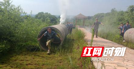 图片4.png 图片4.png