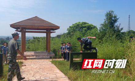 图片3.png 图片3.png