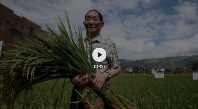 微信截图_20201103141611.png