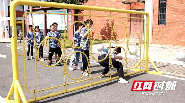 图片8.png 图片8.png