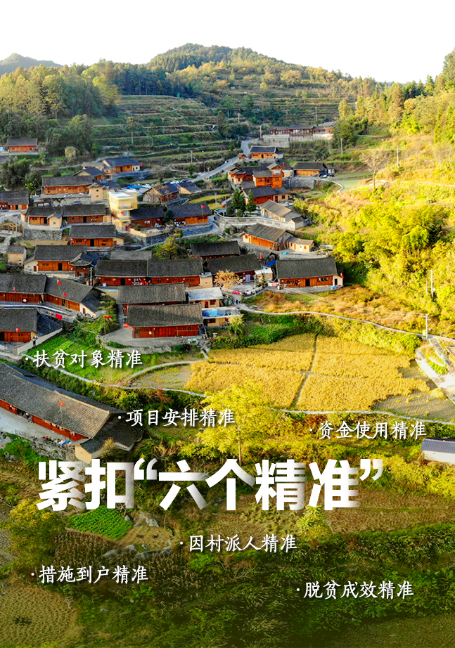 QQ图片20201103141153.jpg