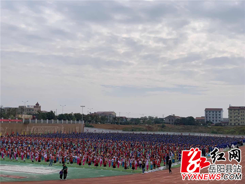 岳雅2.jpg