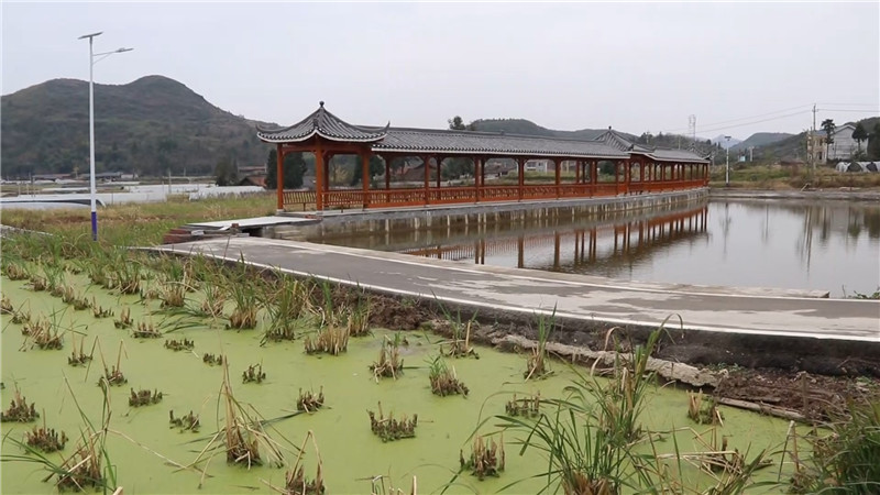 省生态环境保护督察组（半成品）.mp4_20201104_181526.344.jpg