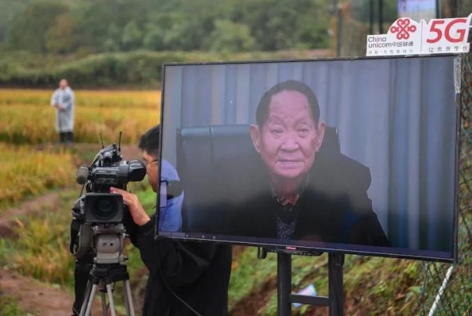 11月2日，袁隆平院士在位于长沙的湖南杂交水稻研究中心与测产现场进行视频连线。新华社记者 陈泽国 摄