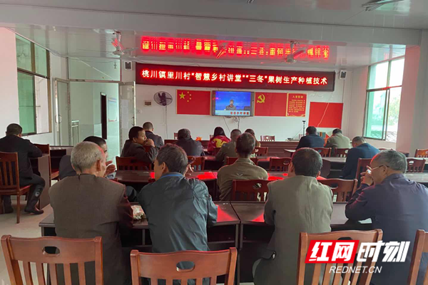 图片 6.png