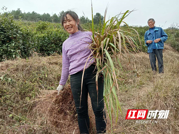 微信图片_20201105181321.jpg