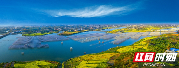 微信图片_20201106103053.jpg