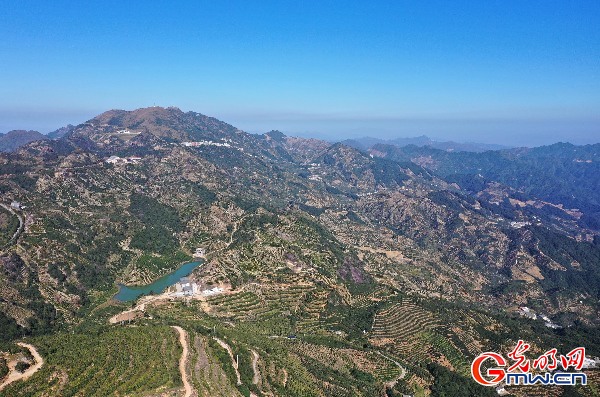 【脱贫奔康·粤来粤好】广东潮州：一片小叶子托起山沟里的脱贫致富梦