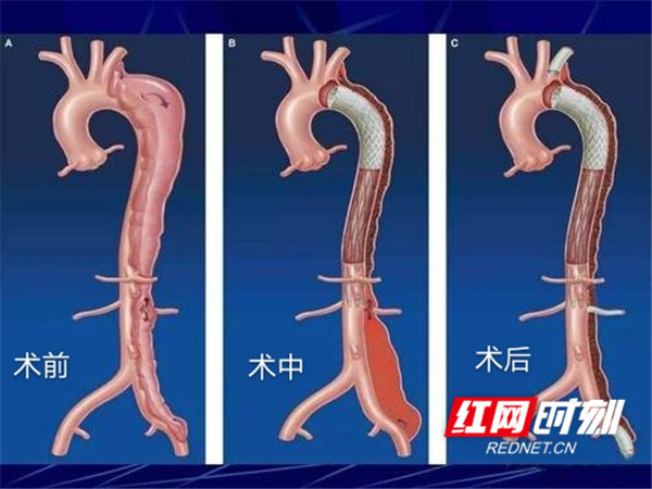 图片2_副本.jpg
