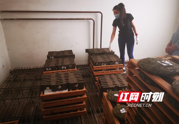 图片12_conew1.jpg