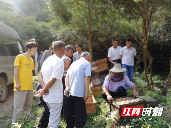 QQ截图20201109143753.jpg