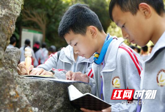 QQ截图20201109155228.jpg