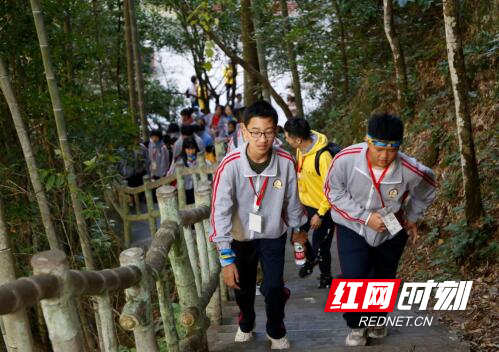 QQ截图20201109155234.jpg