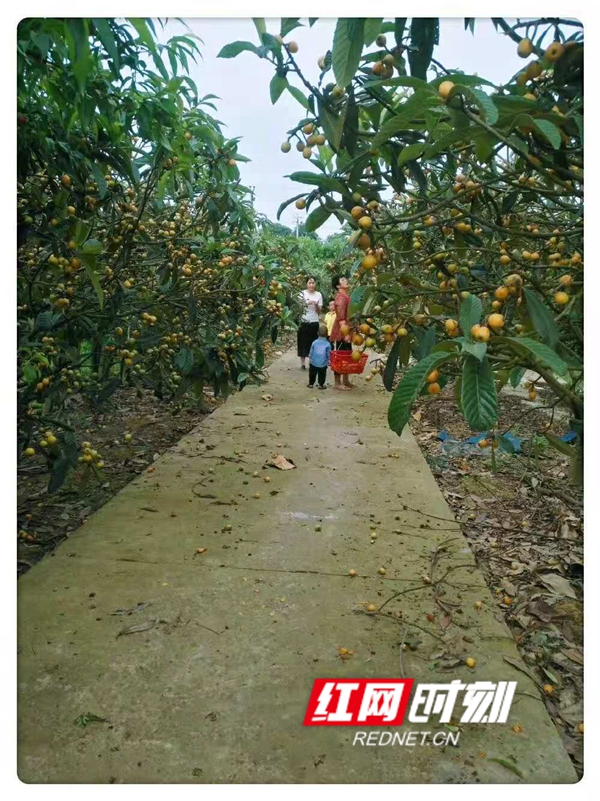 微信图片_20201109133204.jpg