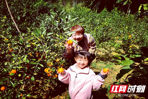 微信图片_20201109100703_副本.jpg