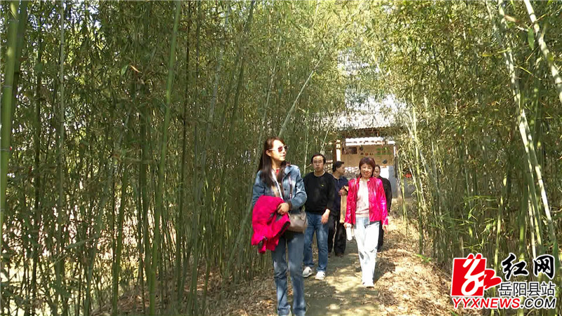 市民欣赏风景.jpg