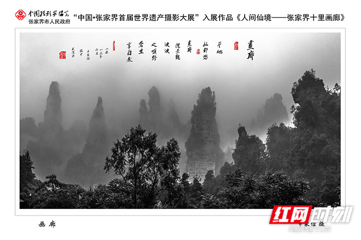 微信图片_20201110113052.jpg