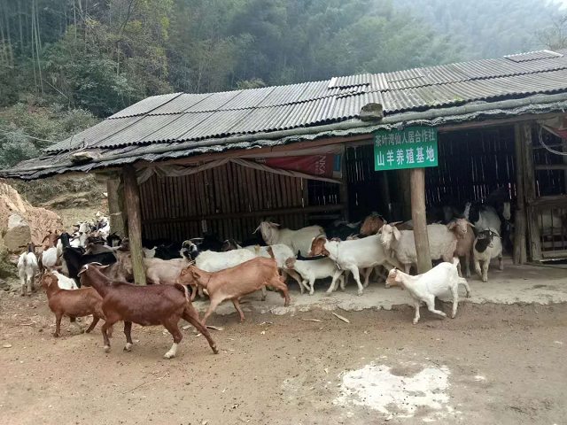 图片9.png
