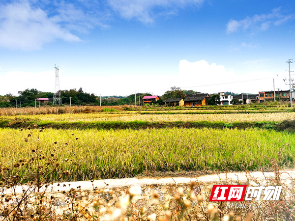 渲溪村大院组风景.jpg
