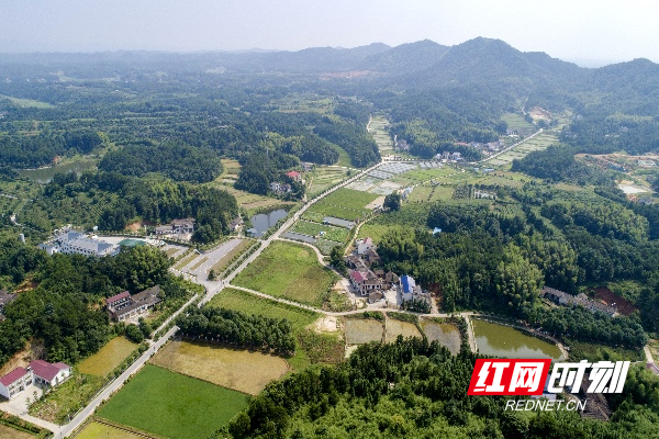 未命名8.jpg 未命名8.jpg