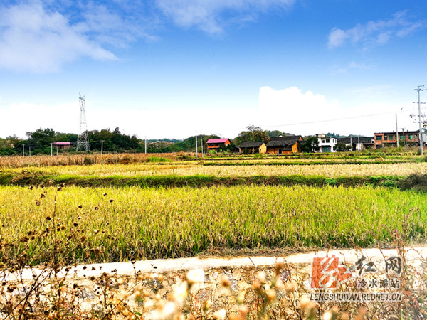 渲溪村大院组风景.jpg 渲溪村大院组风景.jpg