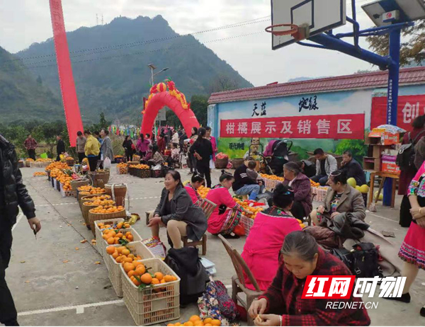 图片10.jpg 图片10.jpg