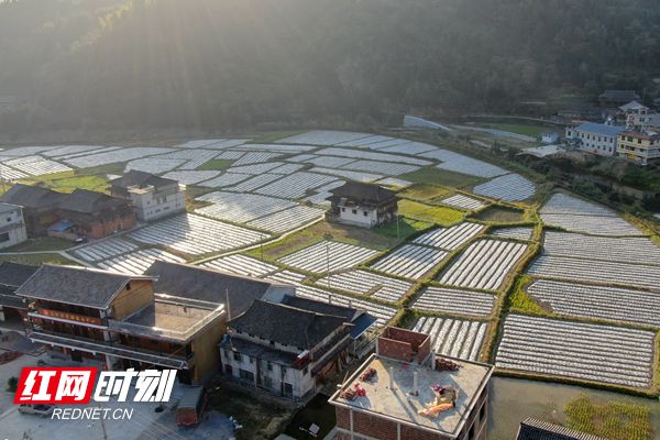 图片5.jpg