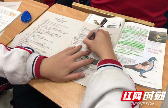 学生写字.jpg