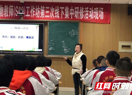 陈蕾.jpg