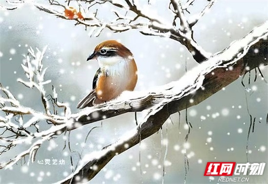 微信图片_20201111192040.jpg