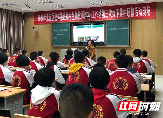 向金玉.jpg