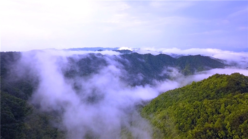 鹤城区大坪村:幸福地日子一天一个样.mp4_20201113_171323.641.jpg 鹤城区大坪村:幸福地日子一天一个样.mp4_20201113_171323.641.jpg