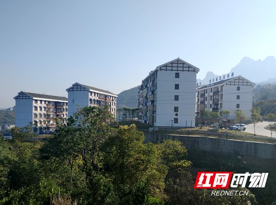 微信图片_20201113202011_副本.jpg